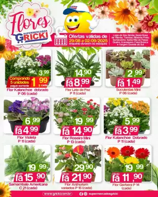 Catálogo Supermercados Gricki (válido até 2-09)