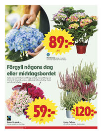 ICA Nära reklamblad vecka 36 Sida 8