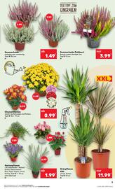 Kaufland DE folder week 36 Pagina 5