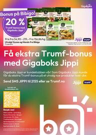 Gigaboks kundeavis uke 36 Side 8