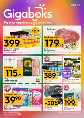 Gigaboks kundeavis (gyldig til 6-09)