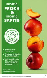 Kaufland Prospekt woche 36 Seite 63