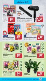 Aldi Nord Prospekt woche 37 Seite 25