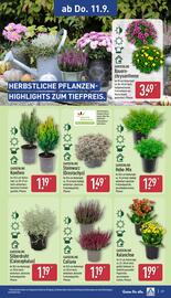 Aldi Nord Prospekt woche 37 Seite 31