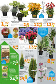 Globus Baumarkt Prospekt Seite 10