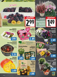 EDEKA Hahner Prospekt Seite 5