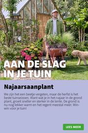 Intratuin folder week 36 Pagina 4