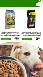 Zooplus folder Pagina 3