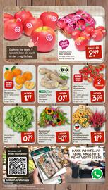 nahkauf Prospekt woche 36 Seite 3
