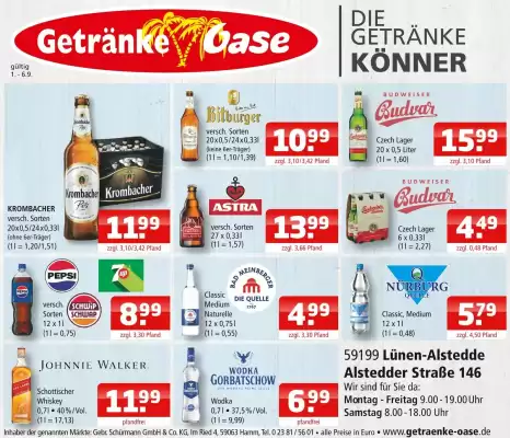 Getränke Oase Prospekt (gültig bis 6-09)