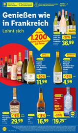 Lidl Prospekt woche 37 Seite 50