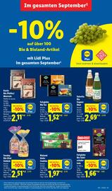 Lidl Prospekt woche 37 Seite 55