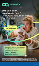 Lidl Prospekt woche 37 Seite 61