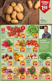REWE Center Prospekt woche 36 Seite 9