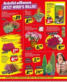 Repo Markt Prospekt woche 36 Seite 18