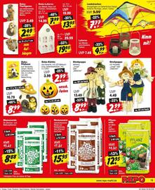Repo Markt Prospekt woche 36 Seite 19