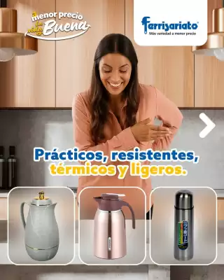 Catálogo Ferrisariato (válido hasta 2-09)