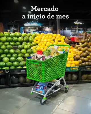 Catálogo Carulla (válido hasta 31-08)
