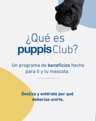 Catálogo Puppis (válido hasta 31-08)