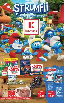 Catalog Kaufland (valid până la 9-09)