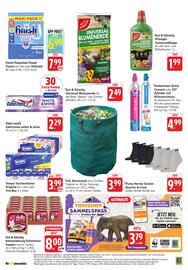 EDEKA Berger Prospekt woche 36 Seite 25