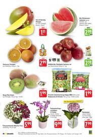 EDEKA Berger Prospekt woche 36 Seite 5