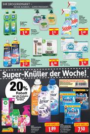 Edeka Herkules Prospekt woche 36 Seite 16