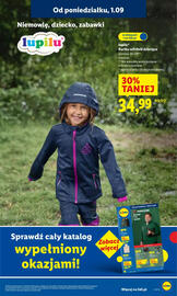 Lidl gazetka Strona 13