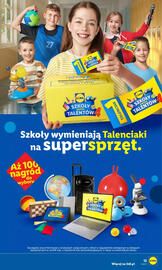 Lidl gazetka Strona 17
