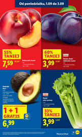 Lidl gazetka Strona 19