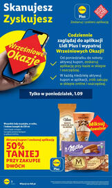 Lidl gazetka Strona 2