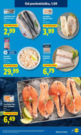 Lidl gazetka Strona 21