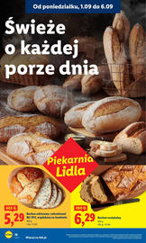 Lidl gazetka Strona 22