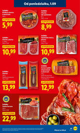 Lidl gazetka Strona 31