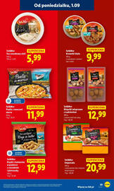Lidl gazetka Strona 33