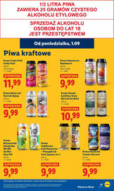 Lidl gazetka Strona 43
