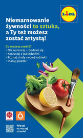 Lidl gazetka Strona 58