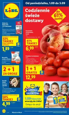 Lidl gazetka (ważność do 3-09)