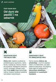 Lidl gazetka Strona 8