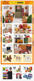 Dollar General Weekly Ad week 36 Page 11