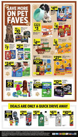 Dollar General Weekly Ad week 36 Page 17