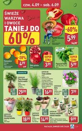 ALDI gazetka tydzień 36 Strona 29