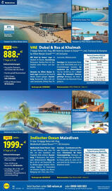 Lidl Flugblatt Seite 12