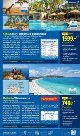 Lidl Flugblatt Seite 13
