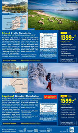 Lidl Flugblatt Seite 15