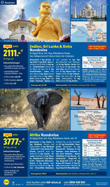 Lidl Flugblatt Seite 16