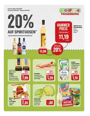 Feneberg Prospekt (gültig bis 6-09)
