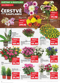 Kaufland leták týden 36 Strana 10