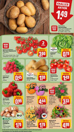 REWE Prospekt woche 36 Seite 9