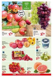 Multi Markt Prospekt woche 36 Seite 6